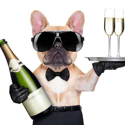 Christmas & Summer Parties
